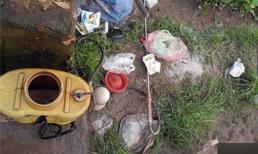 Rau sạch "uống" thuốc tăng trưởng đua với cơn sốt giá