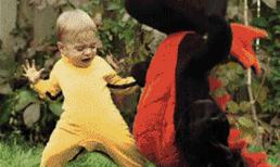 Ảnh động hài 'té ghế': Võ nghệ cao cường