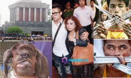 Những bức ảnh "đắt giá" nhất 24h qua (02/9)