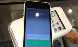 iPhone 5C đã về đến Hà Nội giá 18 triệu đồng