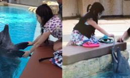 Triệu Vy và con gái tinh nghịch đùa giỡn với cá heo