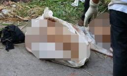 Phát hiện thi thể phụ nữ trong bao tải
