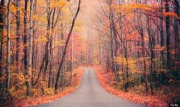 Những mùa thu đẹp nhất thế giới