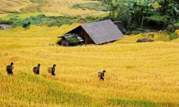 Về miền Tây Bắc bồng bềnh sương khói