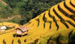 Mù Cang Chải: Danh thắng Quốc gia Ruộng bậc thang