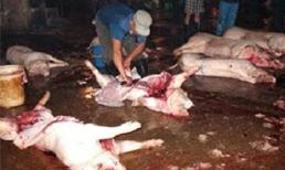 Dân Hà Nội ăn thịt heo bẩn, người Sài Gòn xài mắm cá hóa chất