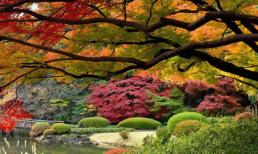 Đắm mình trong những không gian mùa thu lãng mạn