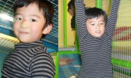 Con trai Trương Bá Chi "bị thương" vẫn cực hiếu động