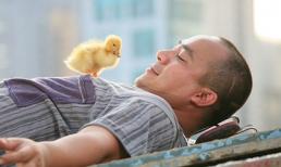 Những ngôi sao 'nấm lùn' của showbiz Việt