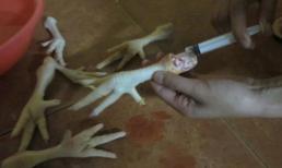 Sự thật về những chiếc chân gà 'độn' nước