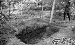 Bàng hoàng cha mẹ giết con rồi chôn dưới gốc cây