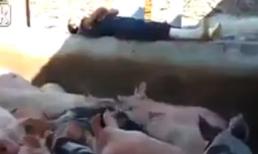 Đừng ngủ khi lũ bạn còn thức