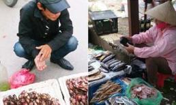 Ăn hải sản 'siêu rẻ': Chớ coi thường mạng sống!