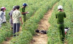 Con trai uống thuốc độc do mẹ thù tình cũ, cản duyên con