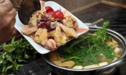 Hãi hùng gà tẩm hóa chất ở quán ăn bình dân