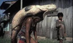 Những tình huống chết cười - p1