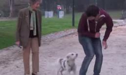 Không thể nhịn cười với những trò đùa quái ác - p5