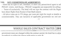 Bị điều tra về cạnh tranh, Công ty Ánh Dương “lập lờ” thế nào?