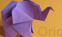 khéo tay - Hướng dẫn gấp con Voi