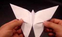 Khéo tay - Hướng dẫn gấp hình con Bướm