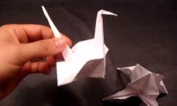Khéo tay - Hướng dẫn gấp hình Thiên Nga