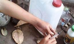 Truy tìm hóa chất cực độc giúp trái cây một tháng vẫn... tươi