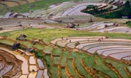 Ruộng bậc thang Mường Lát tuyệt đẹp trong mùa nước đổ