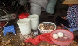 Công nghệ làm kem bẩn, xưởng sản xuất như chuồng heo