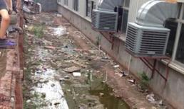 Thiếu nữ 16 tuổi ném con trai mới sinh từ tầng 3