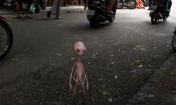 Sự thật về người ngoài hành tinh xuất hiện ở quán trà đá vỉa hè Hà Nội