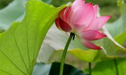 Vì sao lại kiêng động thổ xây nhà và mua xe trong 'tháng cô hồn'?