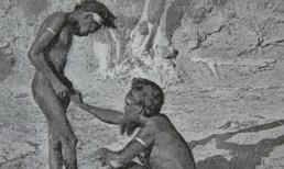 Hãi hùng tục... ăn bao quy đầu của mình để trưởng thành