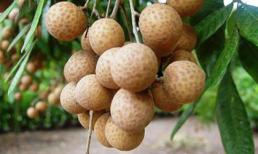 Ăn nhãn giúp chị em sáng da, giảm nếp nhăn