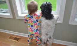 Siêu đáng yêu tình bạn giữa trẻ con với cún cưng