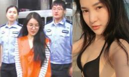 'Gà cùng đàn Can Lộ Lộ' bị bắt vì tội đánh bạc trái phép và bán dâm