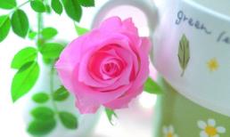 Tử vi tuần mới cho bạn 4/8 - 10/8/2014