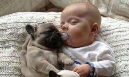 Ảnh vui: Tình bạn thân thiết