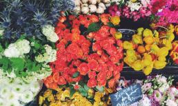 Bật mí 4 cung hoàng đạo may mắn nhất tháng 8