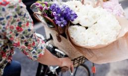 Tử vi 12 chòm sao ngày 6/8