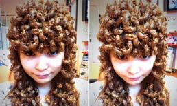 Nữ thần tượng Nhật Bản Shoko Nakagawa 'lại' đội xác ve sầu lên đầu