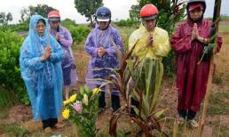 Nghi vấn quanh việc tìm được xác nạn nhân Cát Tường