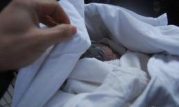 Đẻ rơi khi đi du lịch, mẹ giấu xác con