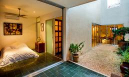 Nhà Cây: Nhà lẫn vào cây