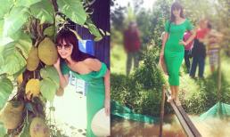 Hà Anh đi tông lào, trổ tài catwalk trên cầu khỉ khi du hí miệt vườn