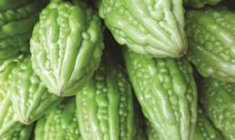 Tuyệt diệu mướp đắng