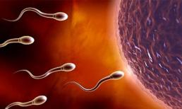 Dấu hiệu sớm báo chồng bạn vô sinh