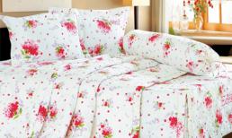 Crazy Sale Edena – Sự kiện mua sắm lớn nhất năm 2014 