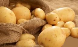 Cách sử dụng và chế biến khoai tây để không bị ung thư