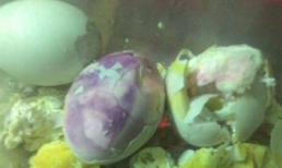 Phát hoảng khi trứng luộc có màu tím