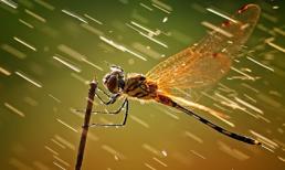 Tử vi 12 chòm sao ngày 14/8